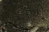 Septarian Dragon Egg Geode - Black Crystals #177396-1
